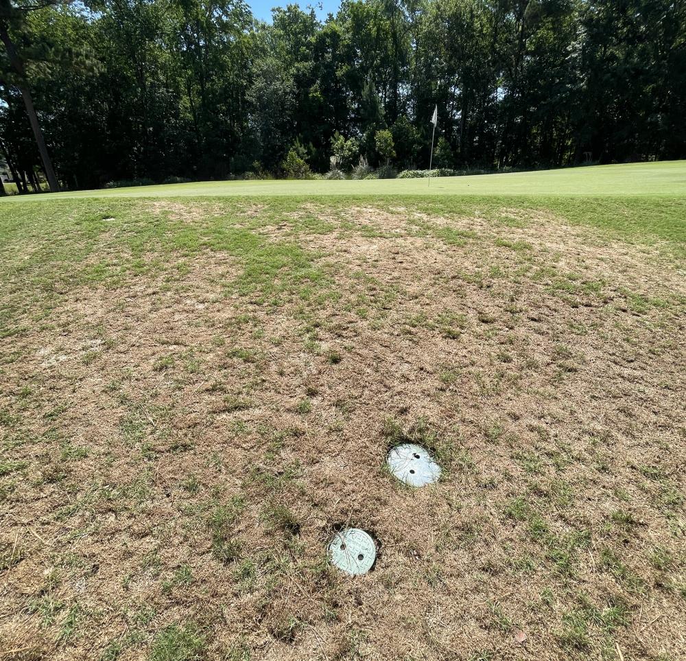 Round Valve Boxes Near Putting Green At TPC Myrtle Beach Installation